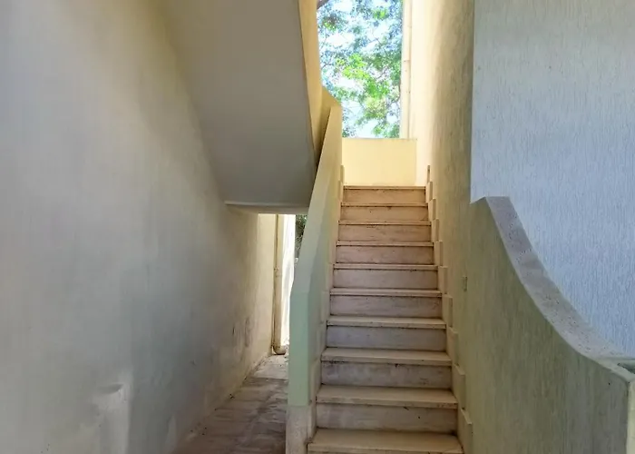 Orsa Maggiore Gallipoli